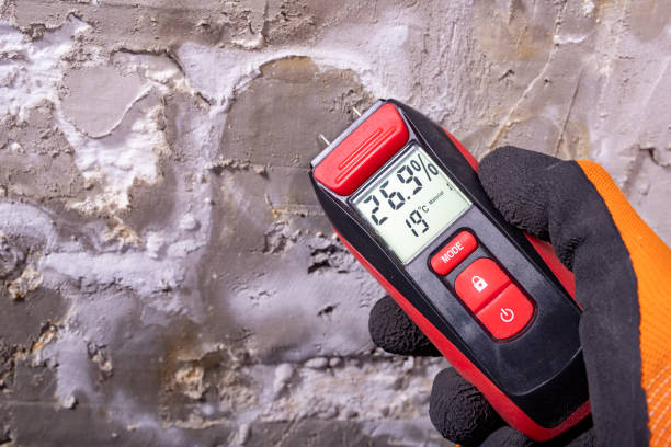 Professional Mold Removal in Hartford City, IN